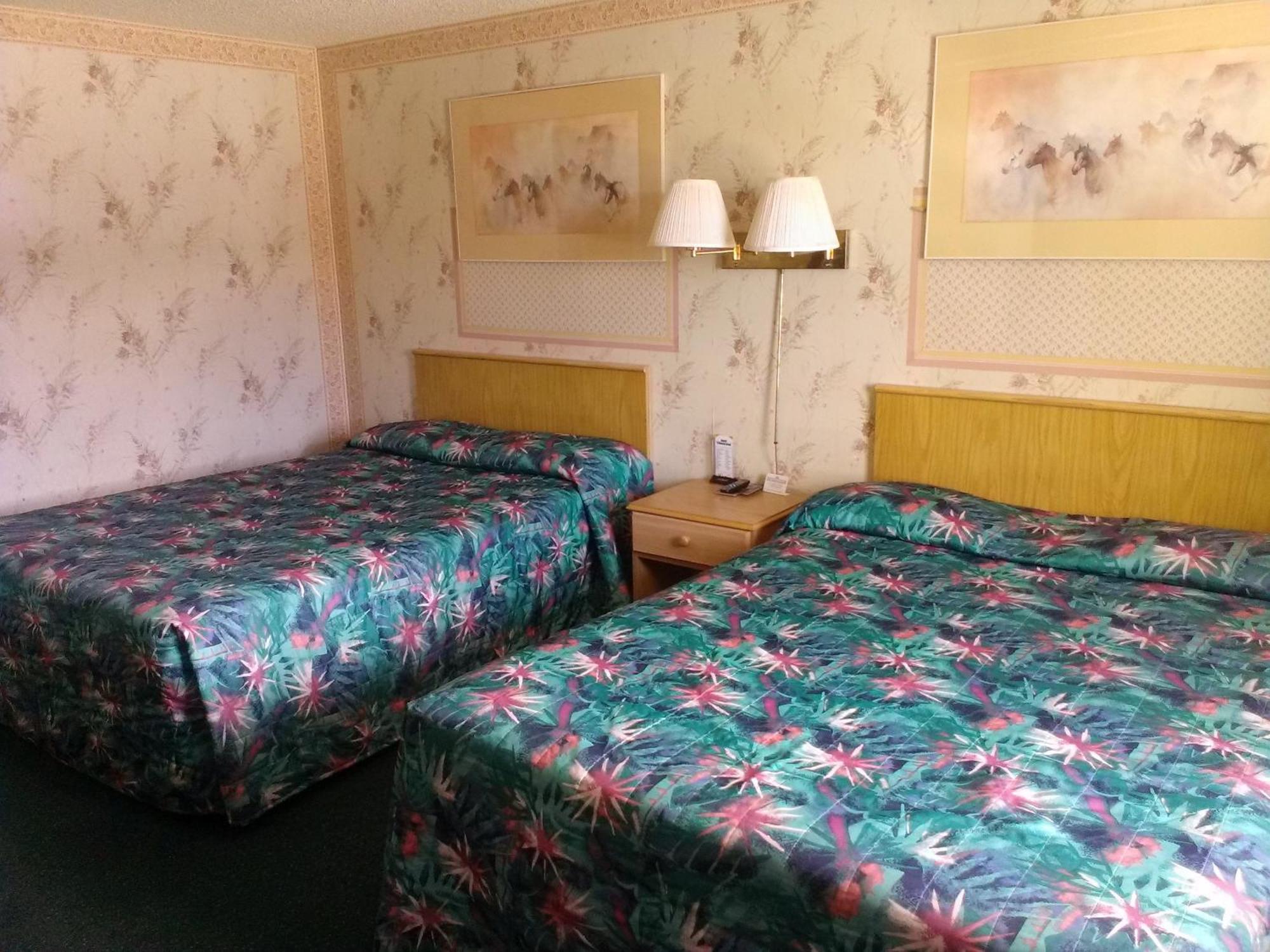Motel 8 Віллкокс Номер фото